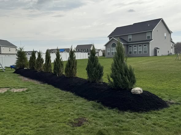 mulch3
